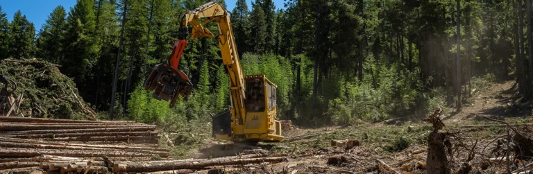 Gee Heavy Machinery Forestry – Mining Partnership
